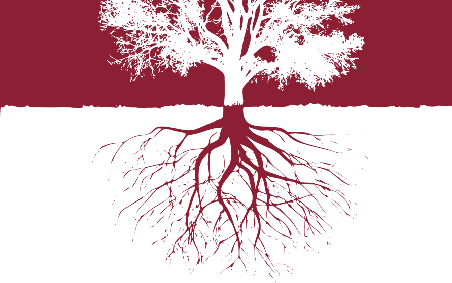 Ilustración del libro: un árbol y sus raíces